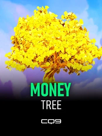 MONEY TREE